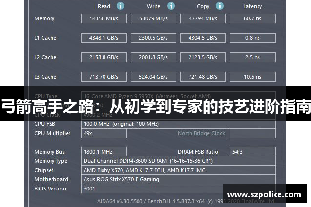 弓箭高手之路：从初学到专家的技艺进阶指南